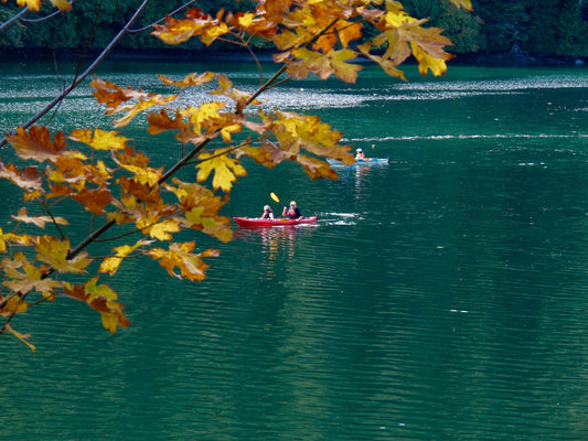 Brentwood Bay to Tod Inlet Paddle Route