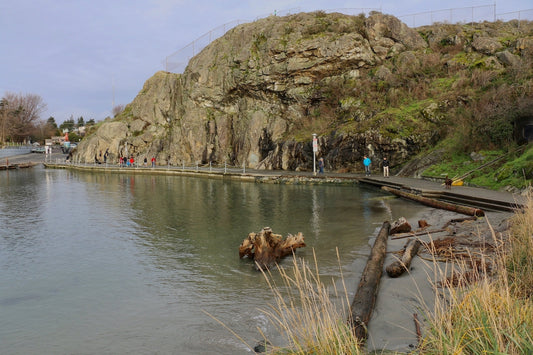 Victoria Harbour to Fleming Beach Paddle Route