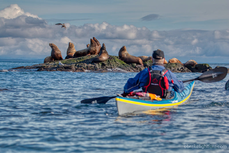 Planning a Kayaking Trip to Discovery Island