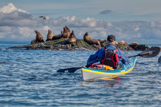 Planning a Kayaking Trip to Discovery Island