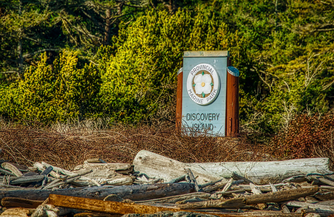 Top 10 Highlights of Kayaking to Discovery Island