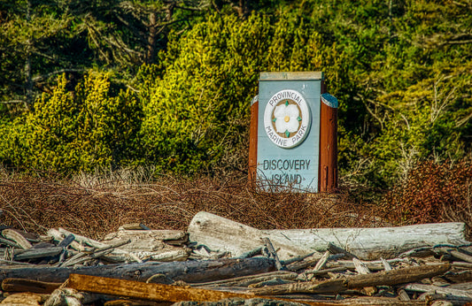 Top 10 Highlights of Kayaking to Discovery Island