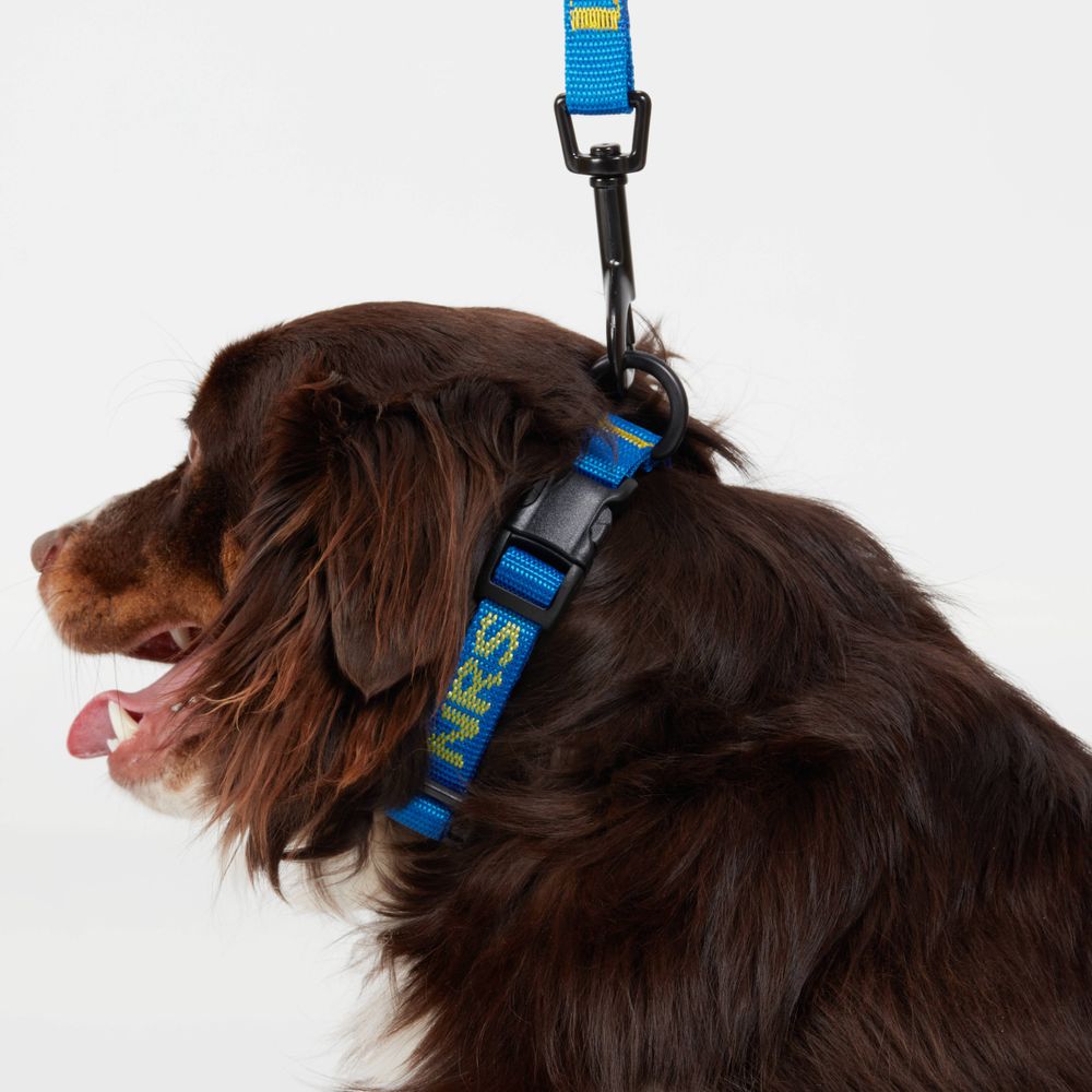 NRS - Dog Collar
