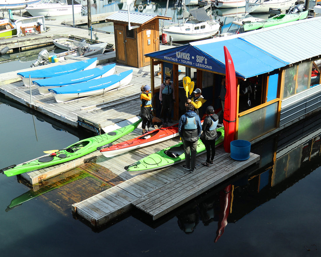 kayak tour victoria harbour